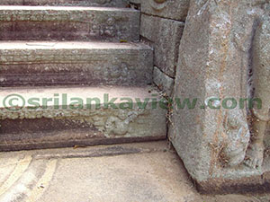 Hatthikucchi Vihara

